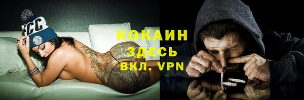 ГАЛЛЮЦИНОГЕННЫЕ ГРИБЫ Арсеньев