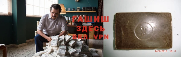 сатива Новозыбков