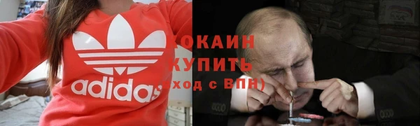 ГАЛЛЮЦИНОГЕННЫЕ ГРИБЫ Арсеньев