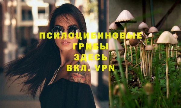 MESCALINE Аркадак